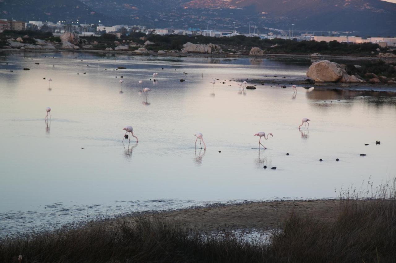 Magibac Due - Casa Vicino Aeroporto E Mater Olbia Appartement Buitenkant foto