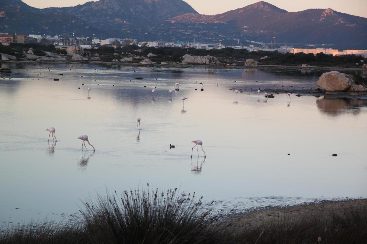 Magibac Due - Casa Vicino Aeroporto E Mater Olbia Appartement Buitenkant foto
